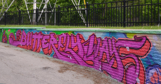 street art on a low retaining wall that says butterflyways in bright pink letters